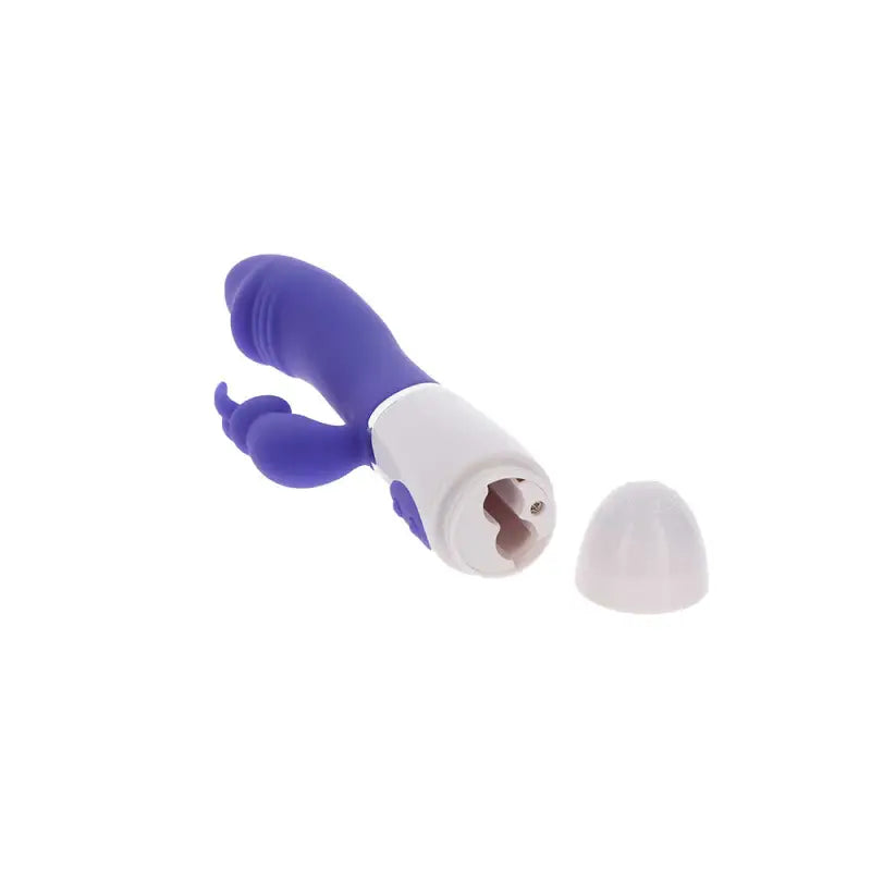 Discover the Funky Rabbit Vibrator for Ultimate Pleasure in Purple