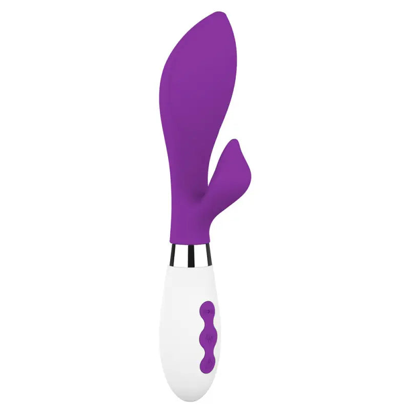 Experience Bliss with the Achelois Rechargeable Vibrator Purple