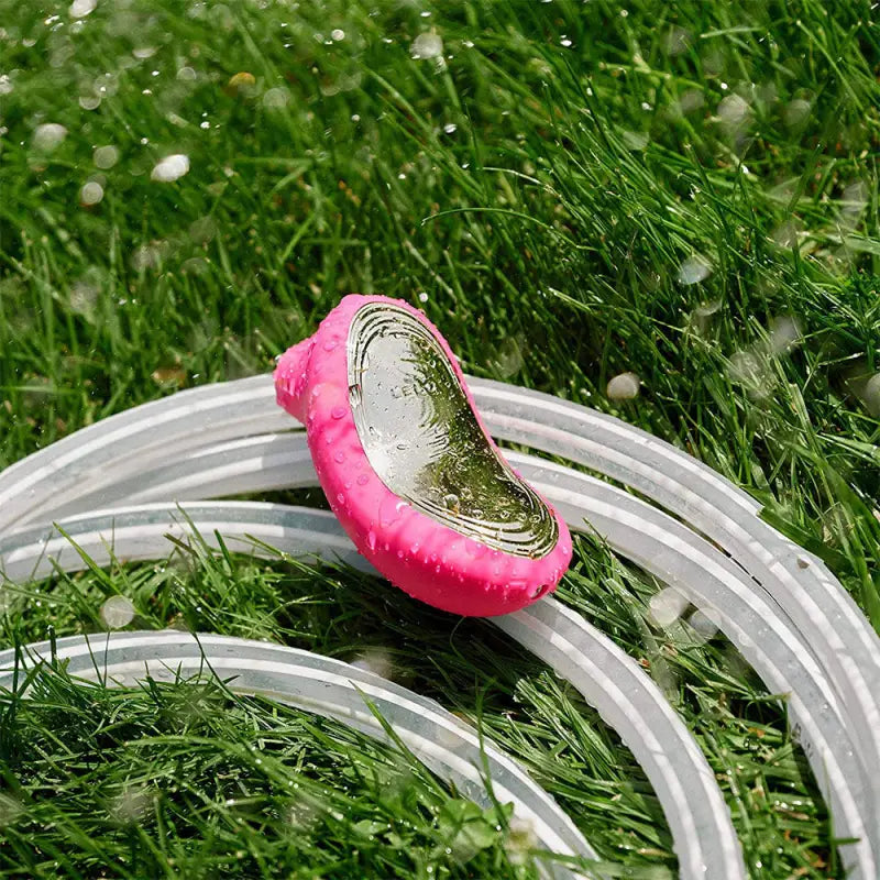 Experience Bliss with the Lelo Sona 2 Cerise Clitoral Vibrator