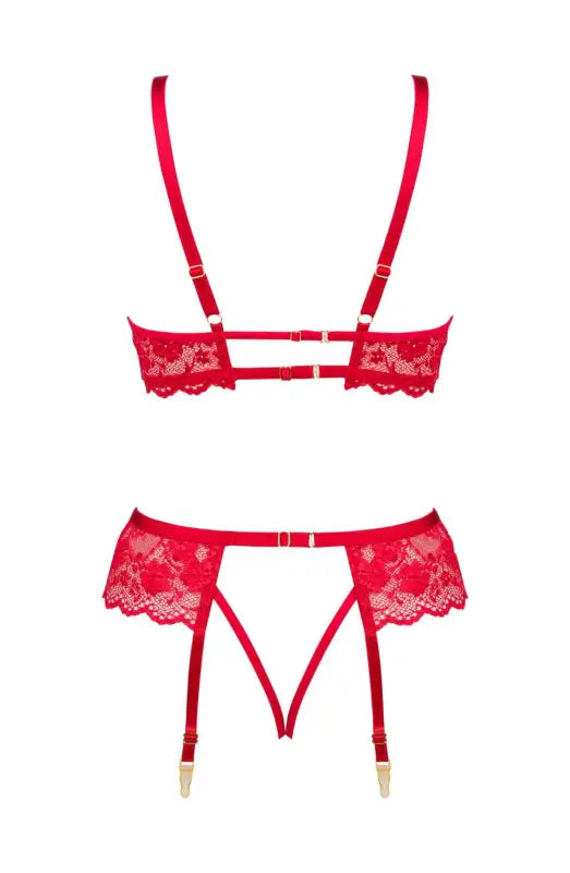 Indulge in the Allure of the Beauty Night BN6696 Rose Set