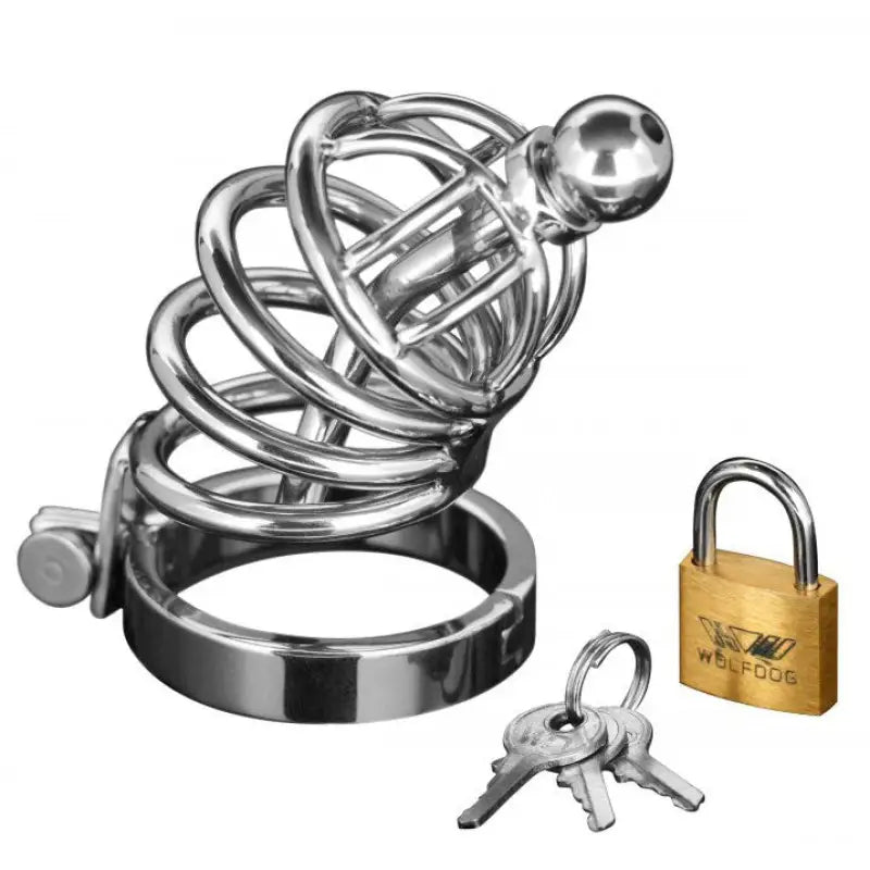 Master Series Asylum Locking Chastity Cage for Male Bondage