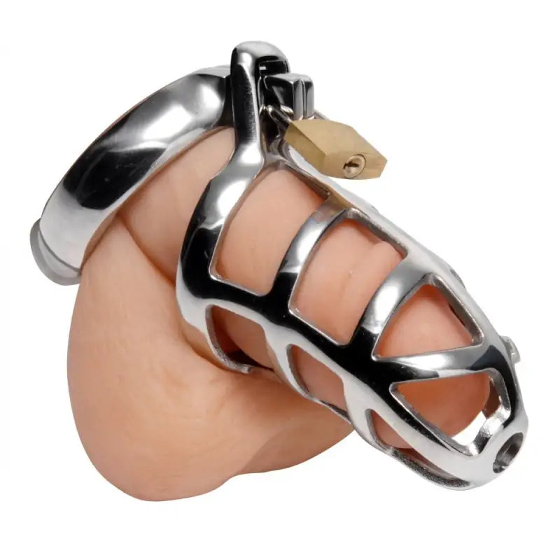 Master Series Chastity Cock Cage for Enhanced Sensations
