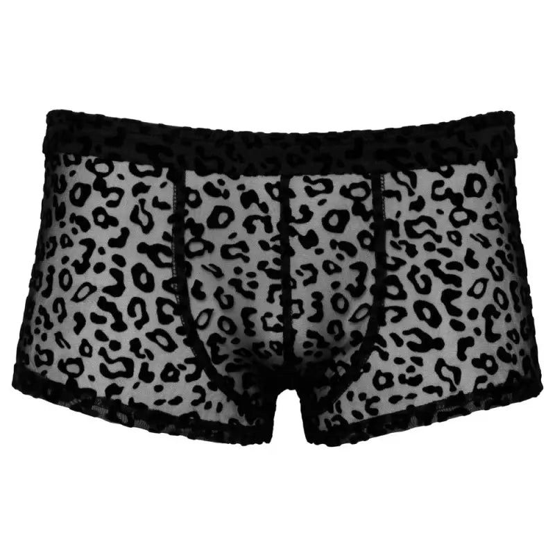 Noir Sheer Animal Print Pants with Elegant Velvet Flock Design