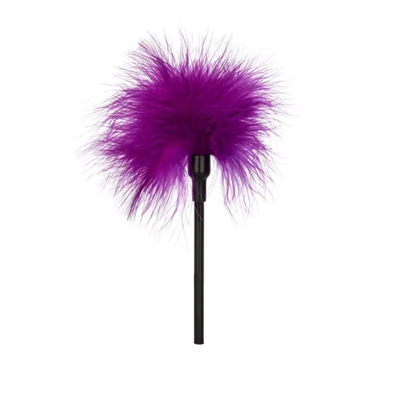 Playful Tickler Data Design for Unique Novelties and Assets PP-Photos