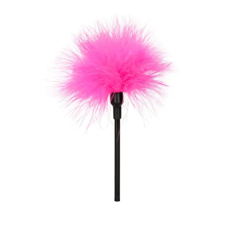Playful Tickler Data Design for Unique Novelties and Assets PP-Photos
