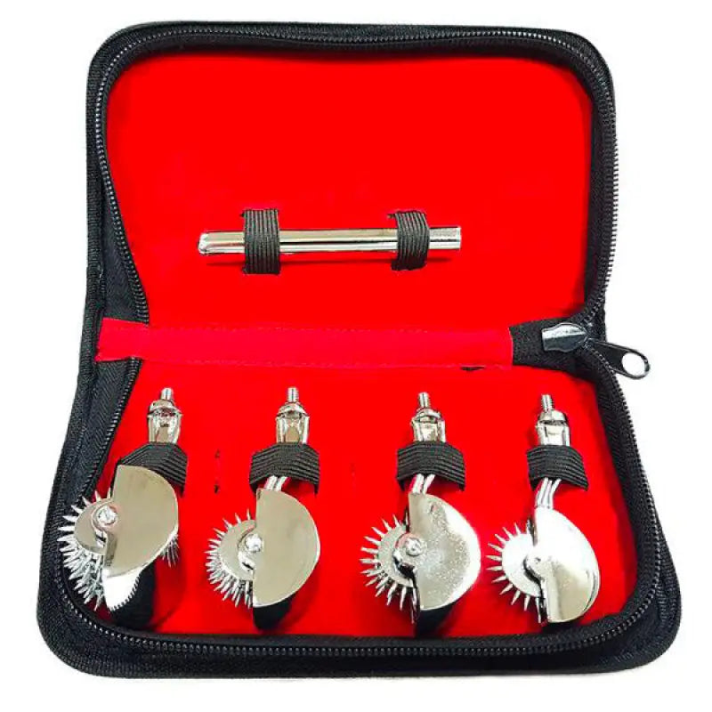 Rouge 4 Pinwheel Set for Sensory Stimulation and Play