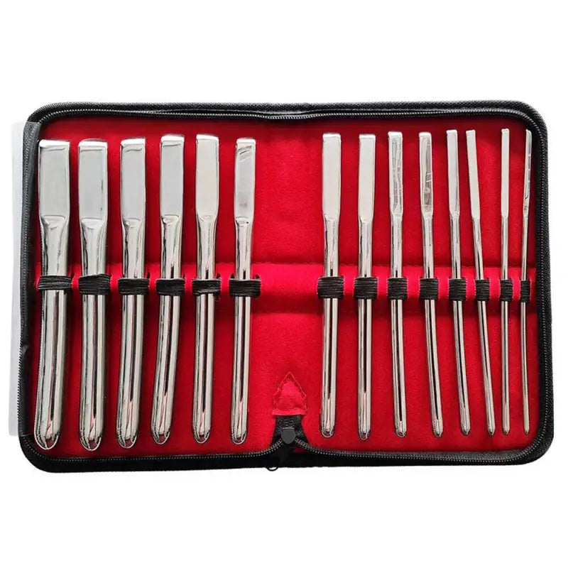 Rouge Garments Hegar 14 Piece Uterine Dilator Set for Ultimate Pleasure