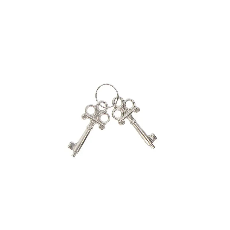 ToyJoy Metal Fun Cuffs for Ultimate Bondage Pleasure