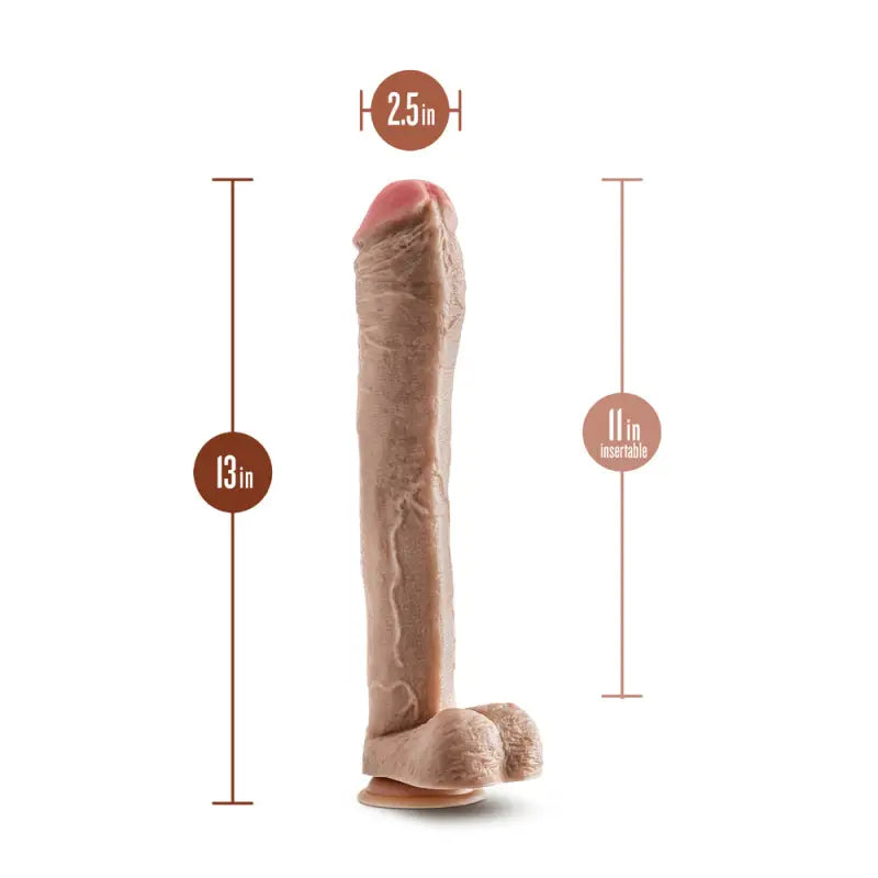 Dr. Skin Mr. Ed 13 Inch Dildo with Sturdy Suction Cup Base