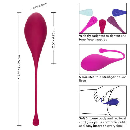 Elevate Wellness with the Ultimate Kegel Training 5 Piece Set