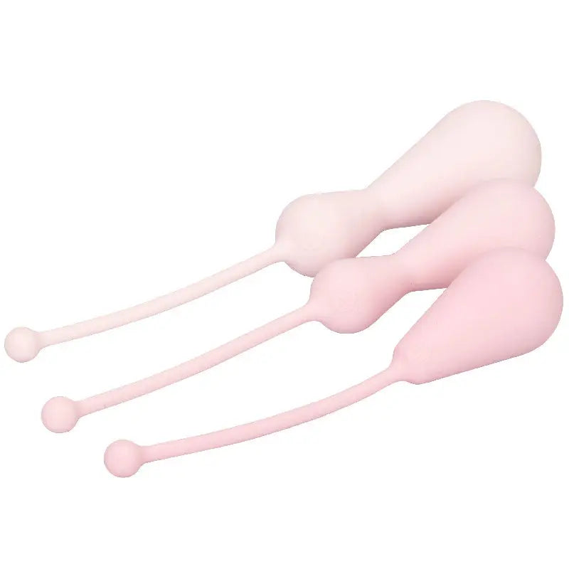 Empower Your Intimacy with the Inspire Weighted Silicone Kegel Training Kit