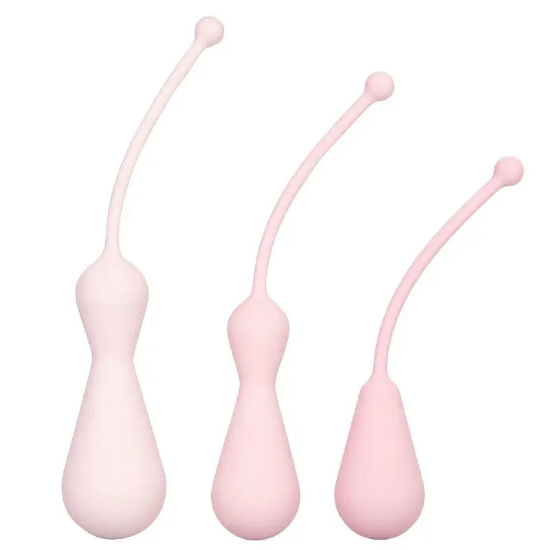 Empower Your Intimacy with the Inspire Weighted Silicone Kegel Training Kit