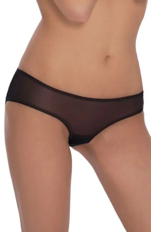 Experience Elegance with Roza Lica’s Beautiful Soft Sheer Mesh Brief