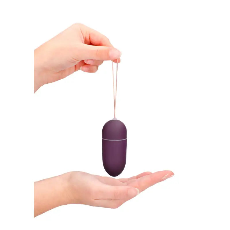 Experience Pleasure with the 10 Speed Remote Vibrating Egg Big Purple