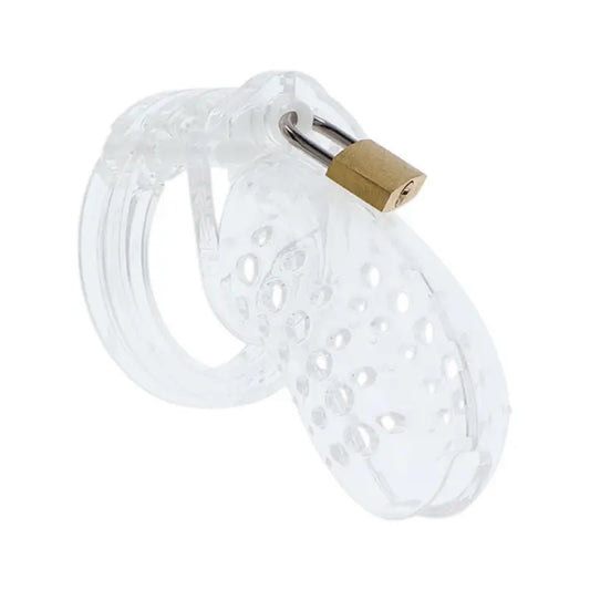 Hidden Desire Extreme Chastity Cock Cage for Male Bondage Gear