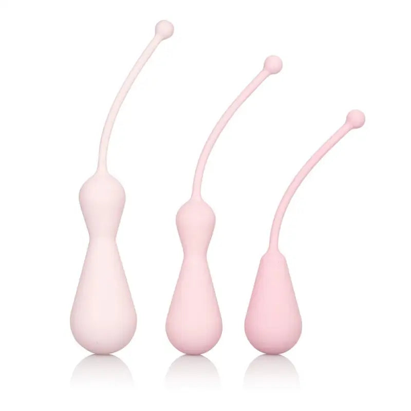 Inspire Weighted Silicone Kegel Training Kit - Pink