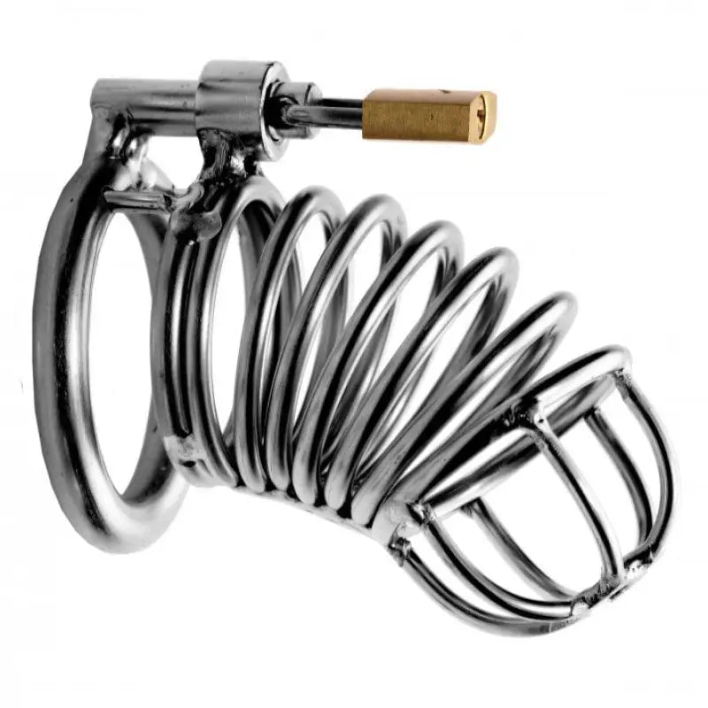 Master Series Bastille Penile Confinement Cage for Ultimate Control
