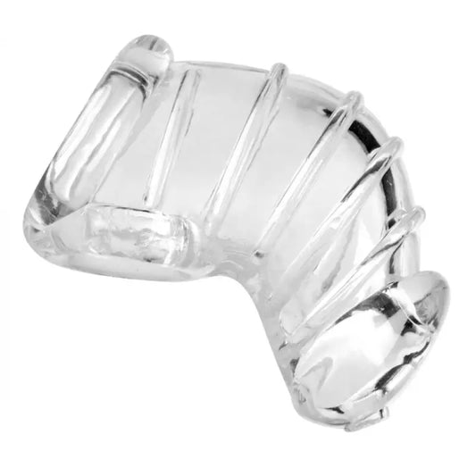 Master Series Detained Soft Body Chastity Cage for Male Bondage