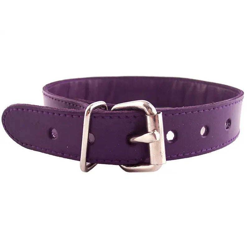 Rouge Garments Purple Studded O-Ring Collar for Bondage Gear