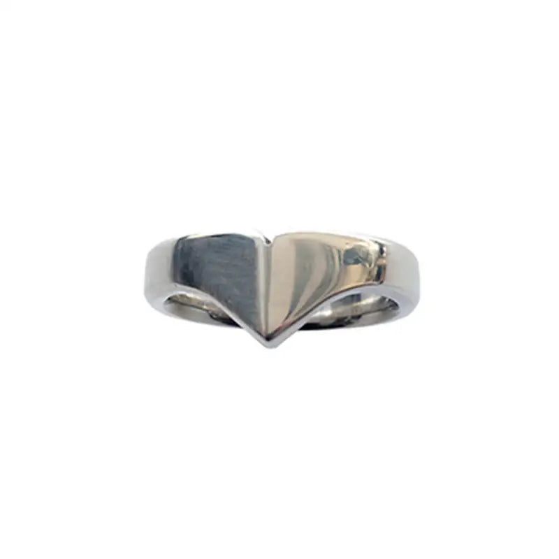 Rouge Stainless Steel Taj Cock Ring for Enhanced Bondage Experience