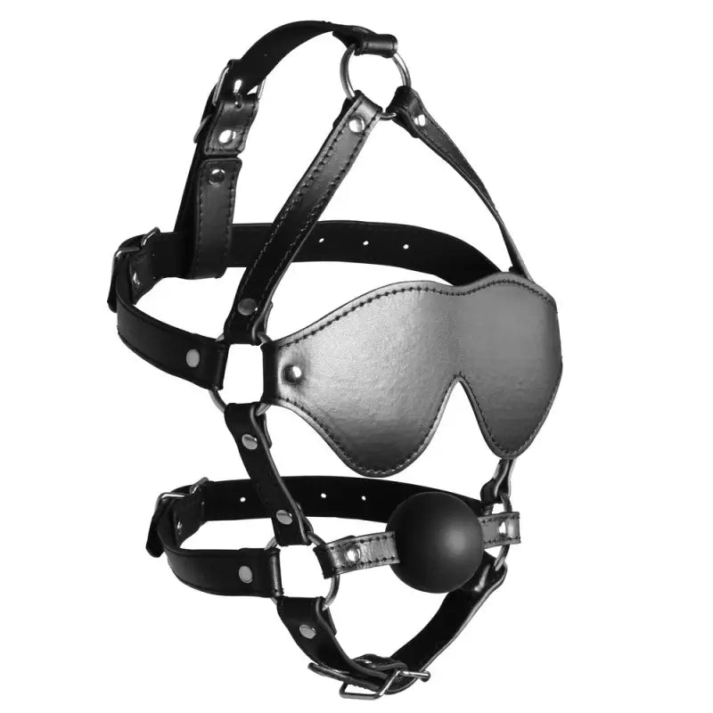 Solid Ball Gag and Ouch Xtreme Blindfolded Masks for Bondage Play
