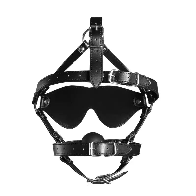 Solid Ball Gag and Ouch Xtreme Blindfolded Masks for Bondage Play