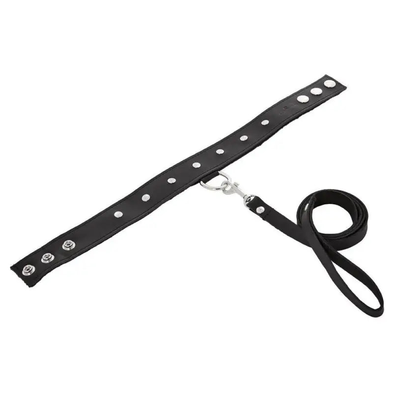 SportSheets Leather Leash and Collar Set for Ultimate Bondage