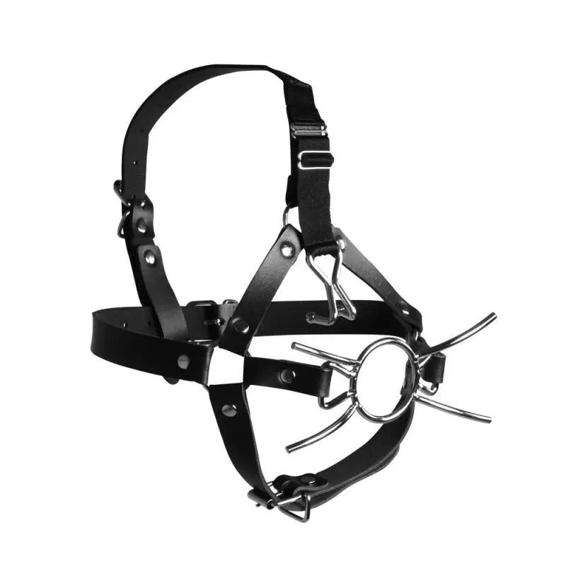 Xtreme Head Harness with Spider Gag and Metal Open-Mouth Gag