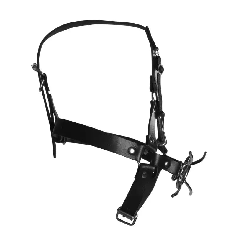 Xtreme Head Harness with Spider Gag and Metal Open-Mouth Gag